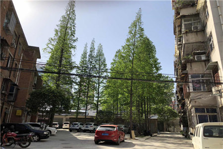 宝龙公园世家2室2厅1卫90㎡带付房